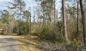 0 Woodland Dr, Abbeville, AL 36310