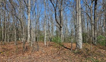 00 Willas Gap Rd 43, Ararat, VA 24053