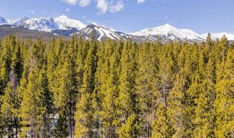 218 GOLDEN CROWN Ln, Blue River, CO 80424
