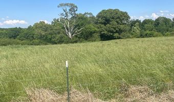 19 27 Acres County Road 656, Anderson, AL 35610