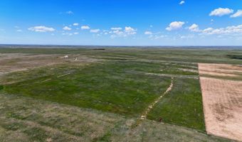 TBD County Road 162, Agate, CO 80101