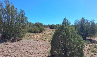 268 N 5383, Concho, AZ 85924