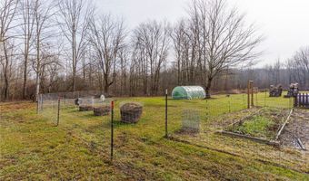 6590 Hall Rd, Andover, OH 44003