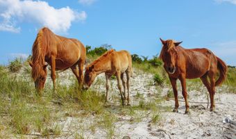 10798 Windmill Creek Ln, Berlin, MD 21811