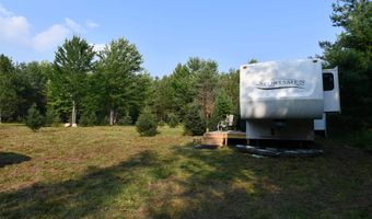 9537 LAKEVIEW Rd, Alanson, MI 49706