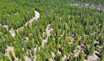 7783 California Pines Blvd, Alturas, CA 96101