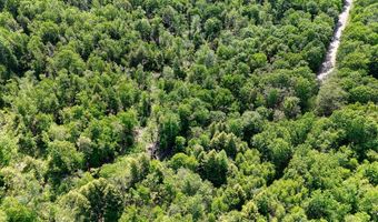 Lee Street lot 31, Albion, ME 04910