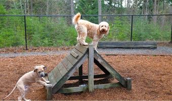 20461 Myrtle Pl E Plan: Blossom, Bonney Lake, WA 98391