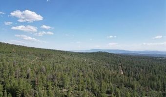 Sandpiper Ln, Beatty, OR 97621