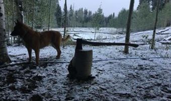 4558 Middle Mountain Rd, Bayfield, CO 81122