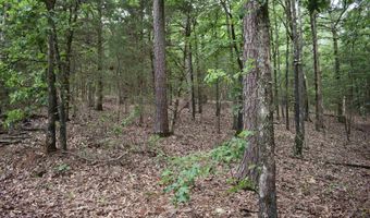 10355 Rodeo Rd, Belleville, AR 72824