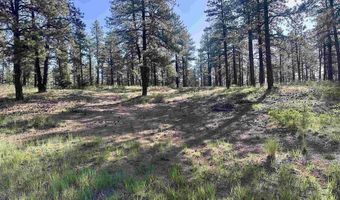 782 Hawks Meadow Dr, Bayfield, CO 81122