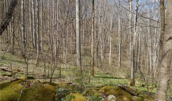 Gentry Farm Road, Aurora, NC 28743