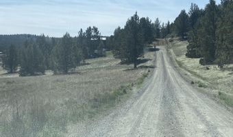 Mountain Quail Lane lot 17 18, Alturas, CA 96101