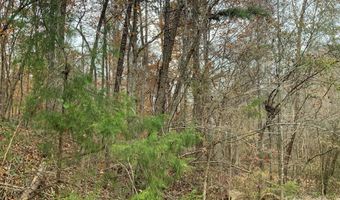 2813 Sadler Rd, Alexis, NC 28006