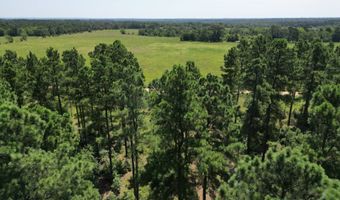 80 N4130 Rd, Antlers, OK 74523