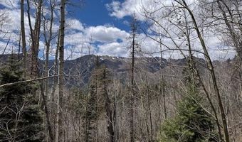 4558 Middle Mountain Rd, Bayfield, CO 81122
