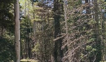 Lot 828 San Felip Circle, Angel Fire, NM 87710