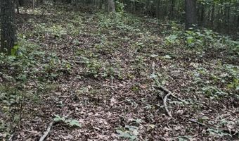 Collins Road, Blaine, TN 37709