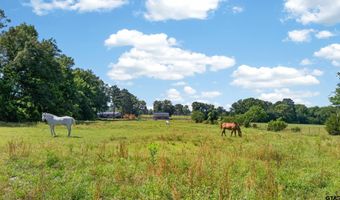 867 CR 2619, Alto, TX 75925