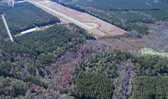 793 Puncheon Creek Dr, Andrews, SC 29510