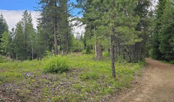 23 Sawtooth Loop, Cascade, ID 83611