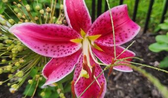 2931 Washington Ave, Bedford, IN 47421