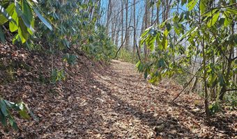 16 Warrior Way Lot 16, Andrews, NC 28901