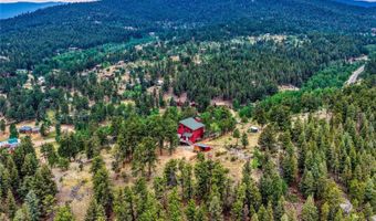 19 E Pine Dr, Bailey, CO 80421
