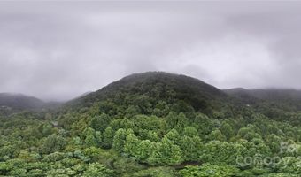 Killdevil Hill Lane unit 9 & 10 9 & 10, Bat Cave, NC 28792