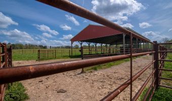2665 Mt. Carmel Rd, Altoona, AL 35952