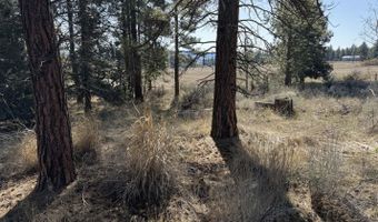 Copperfield Drive Lot 1, Chiloquin, OR 97624