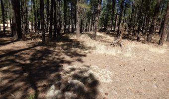 8 B County Road 2267 Escudilla Rd, Alpine, AZ 85920