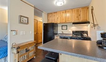 110 S PARK Ave 128, Breckenridge, CO 80424