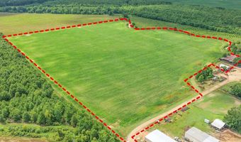 Dummyline Road, Batesville, MS 38606