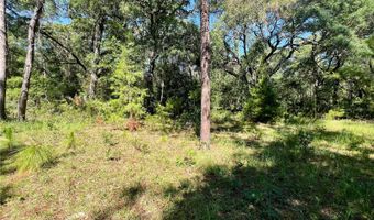 SE 152ND - RAVENSWOOD RD PARCEL B & C LOTS 16 17 Place, Altoona, FL 32702