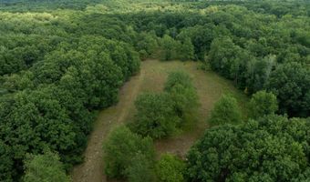 39 Acres N Pingree Rd, Alma, MI 48801