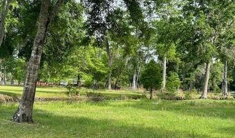 TBD CORKWOOD LANE, Astatula, FL 34705