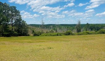 1687 HWY 131, Baker Hill, AL 36027