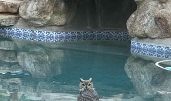 5830 E RESTIN Rd, Carefree, AZ 85377