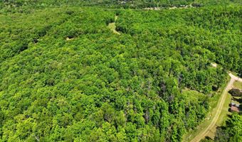 County Road 101, Alton, MO 65606