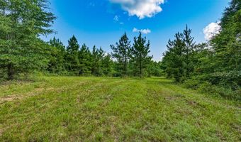Harry Priddy Road, Americus, GA 31719