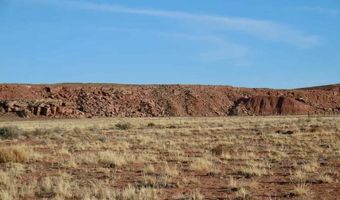 15 Co Rd N7284 40 Acres, Chambers, AZ 86502