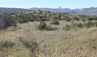 TR 57R Sierra La Rana, Alpine, TX 79830