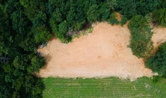 1717 County Road 1579, Baileyton, AL 35019