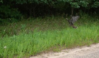 Lot 27 10th Avenue, Adams, WI 53910