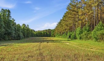425 Rose Hill Rd, Bentonia, MS 39040