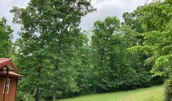 951 County Road 206, Alton, MO 65606
