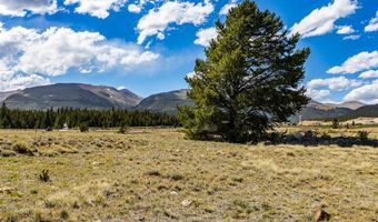 GLISSADE Trail lot 61, Alma, CO 80420