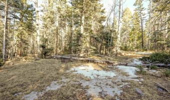 1004 And 1005 El Camino Real, Angel Fire, NM 87710